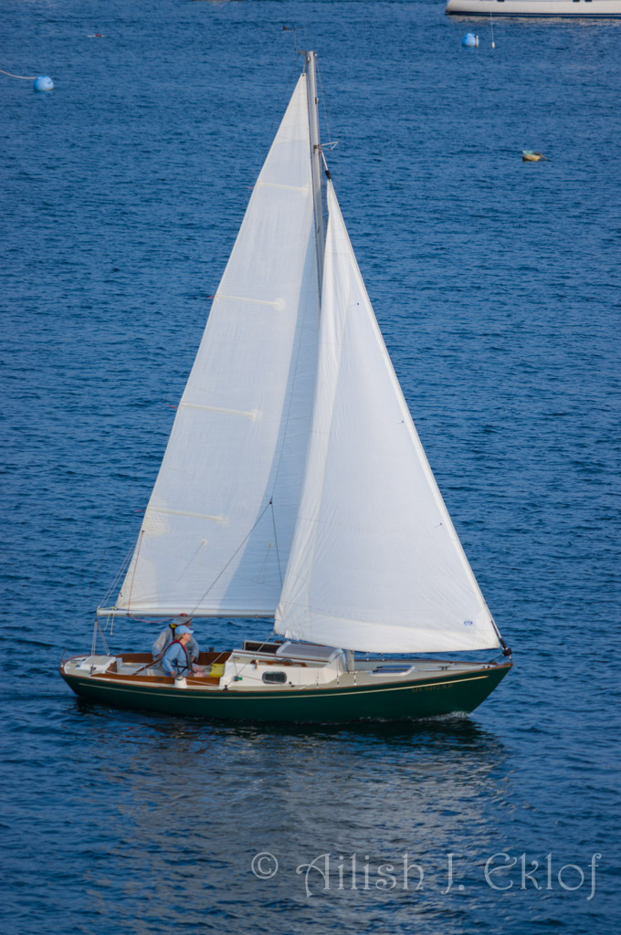 Sailboat off Fort Sewell