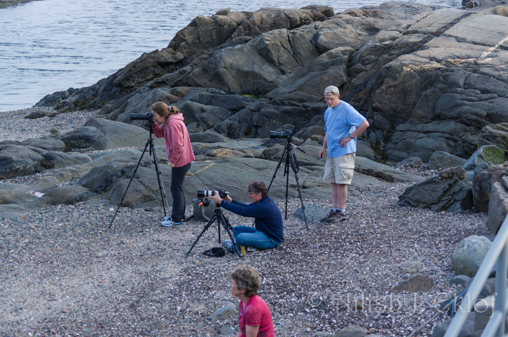 Photographers set up below high tide line, aiming at Marblehead Light